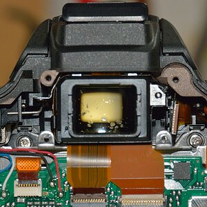DSC 8116