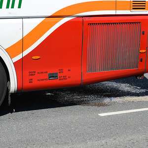 bus
irland
liegenbleiben