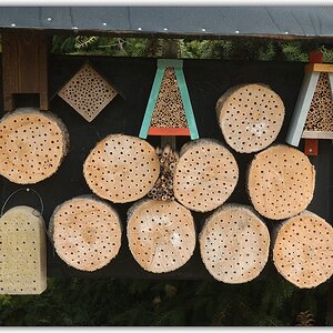 KR DSC 6901 1