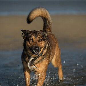 mrvi am strand