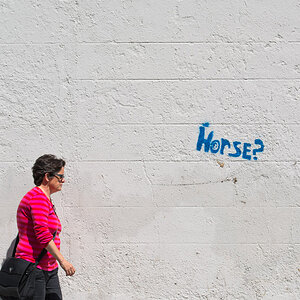 dublin
streetart
graffitti
horse