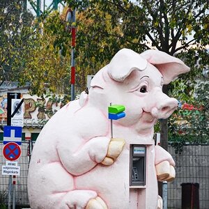 DSC 2619 ji