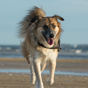 bambi am strand2