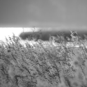 achterwasser