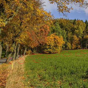 user62159 pic393168 Orig Markierung