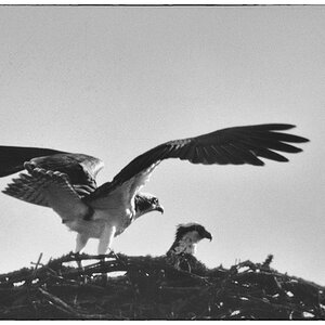NeuUntitled (102)