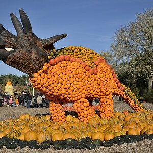 D711090