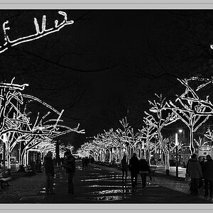 Unter den Linden