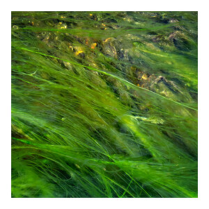 2013 Island 058