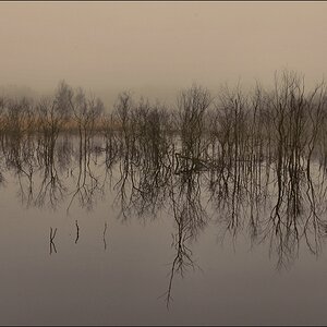 aacomp Hasenmoor 20110319 0182a