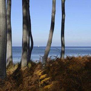 Ostseeblick