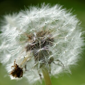 in my garden 14