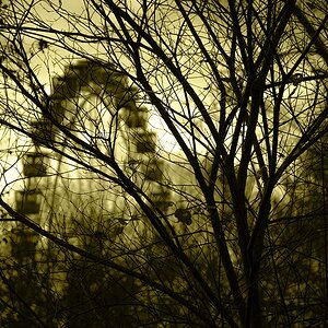 Riesenrad NF Forum
