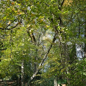 20131109 DSC00490 Bearbeitet