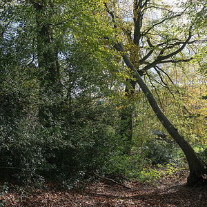 20131109 DSC00496 Bearbeitet