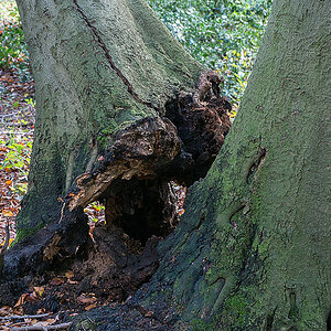 20131109 DSC00500 Bearbeitet