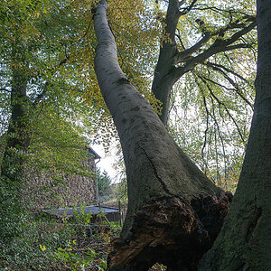 20131109 DSC00503 Bearbeitet