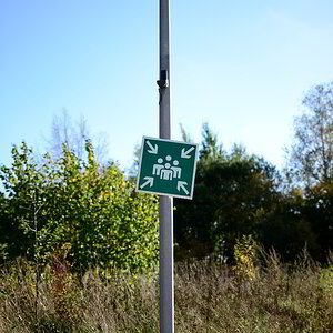 Sammelpunkt