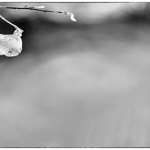 Wasser PZ14897