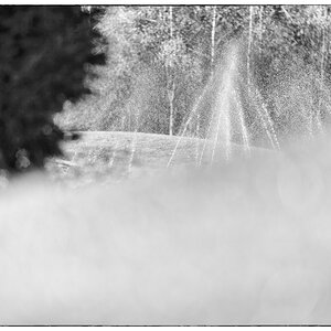 Wasser PZ14900