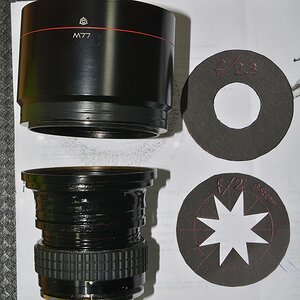 DSC 8083