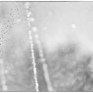 Wasser PZ14906