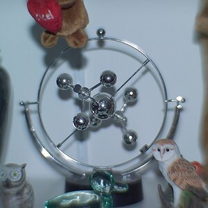 DSC 8061