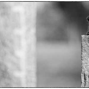 Wasser PZ14917