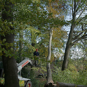 20131109 DSC00509 Bearbeitet