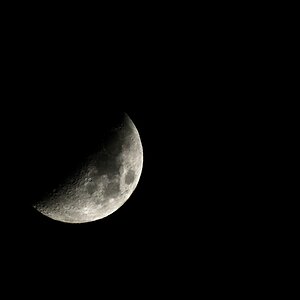 Mond
