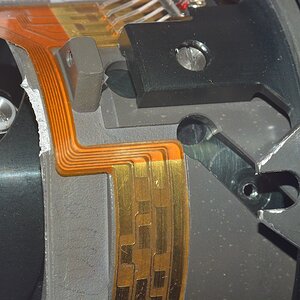 DSC 8130
