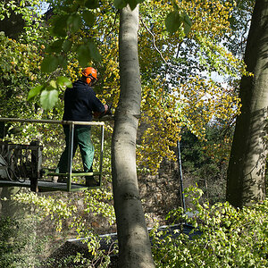 20131109 DSC00511 Bearbeitet
