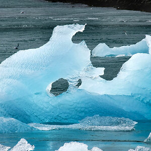 ice land