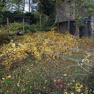 20131109 DSC00515 Bearbeitet