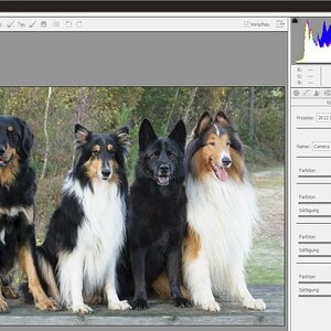 histogramm3