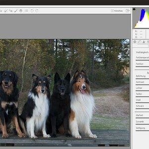 histogramm5