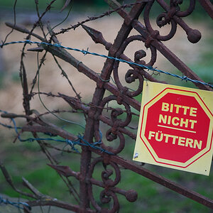 20131209 DSC00108