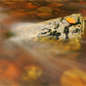 Herbstbach