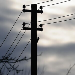 2013 12 27 14 19 07 D30 9087 copy