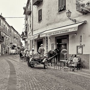 TZ 230