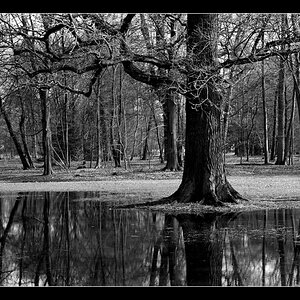 Winter in der Orangerie Kassel