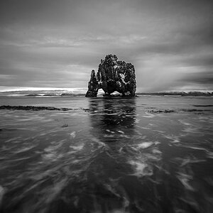 Hvítserkur