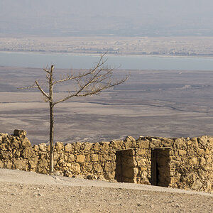 massada 07185