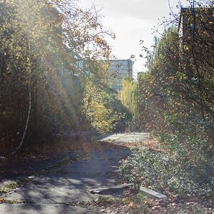 Herbst im Presswerk Ottendorf-Okrilla