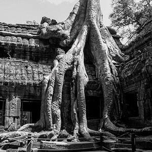 Angkor Wat (1 von 1) 3