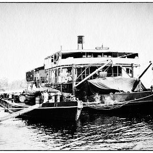 Grace PZ15602