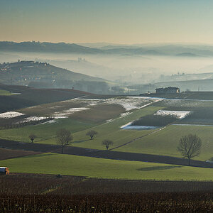 barolo morning