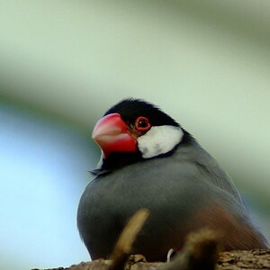 DSCF0522
