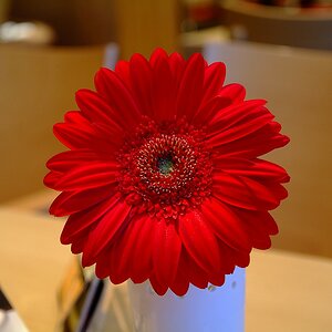 DSCF0547