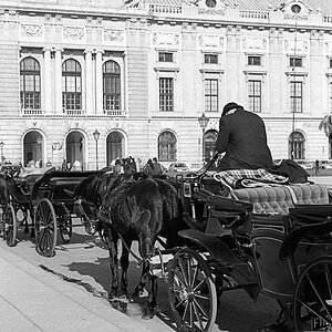 Wien 0011 900